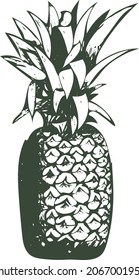 Isolated vector pencil sketch of pineapple