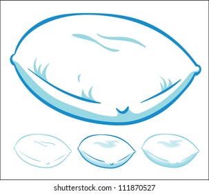 isolated vector pillow in couple variations