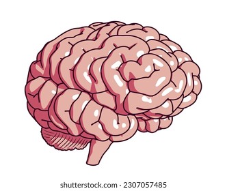Isolated Vector Pink Human Brain, Cartoon Style, Half Turn View