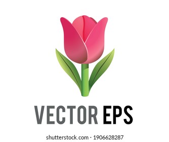The isolated vector pink tulip flower icon with green stem and leaves