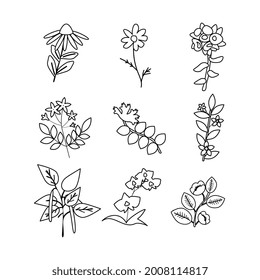 Isolated vector plants simple set