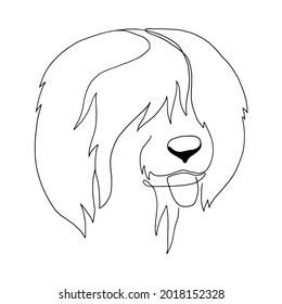 Isolated vector portrait of a bobtail dog, line art style