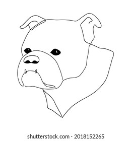 Isolated vector portrait of a bull dog, line art style