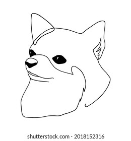 Isolated vector portrait of a chihuahua dog, line art style