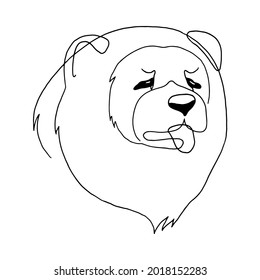 Isolated vector portrait of a chow chow dog, line art style