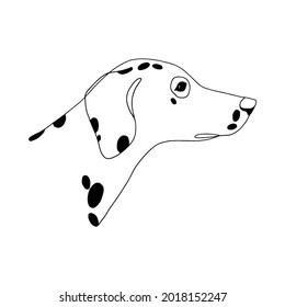 Isolated vector portrait of a dalmatian dog, line art style