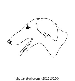 Isolated vector portrait of a greyhound dog, line art style