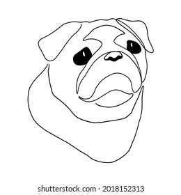 Isolated vector portrait of a pug dog, line art style