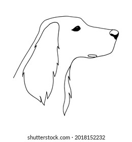 Isolated vector portrait of a setter dog, line art style
