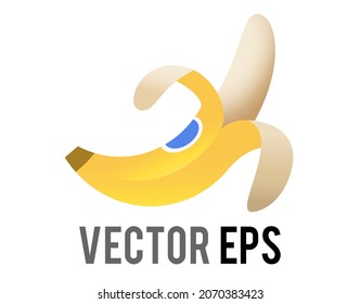 The isolated vector raw fruit banana icon with yellow skin