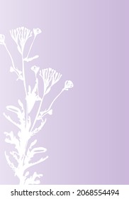 Isolated vector realistic flower, herb, plant or twig on pastel colored iridescent background. Minimalist poster concept with delicate silhouettes of organic shapes. Modern abstract botanical artwork.