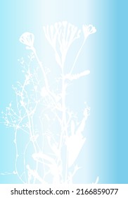 Flor realistas vectorial aislada, hierba, planta o ramita sobre fondo iridiscente de color pastel. Concepto de póster minimalista con siluetas delicadas de formas orgánicas. Arte botánico abstracto moderno