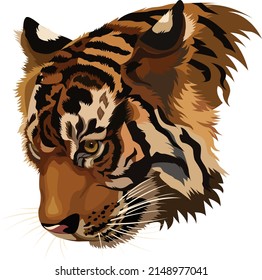 isolated vector realistic painted tiger head 