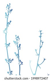 Isolated vector realistic plant, herb or twig in pastel  iridescent colors on white. Minimalist poster or card concept with delicate silhouettes of organic shapes. Modern abstract botanical artwork.