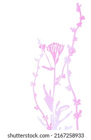 Plantas, hierbas o ramas aisladas realistas vectoriales en tonos iridiscentes pastel sobre blanco. Afiche minimalista o concepto de tarjeta con siluetas delicadas de formas orgánicas. Arte botánico abstracto moderno.