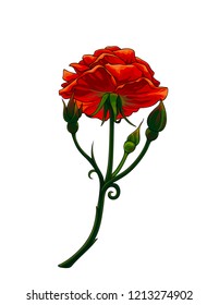 Isolated vector realistic rose with some buds, view from below.