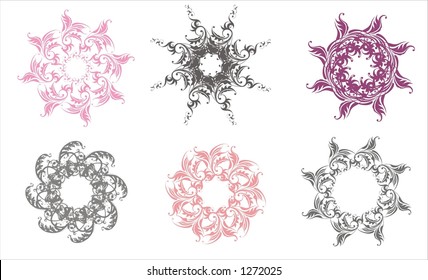 isolated vector rosettes on white