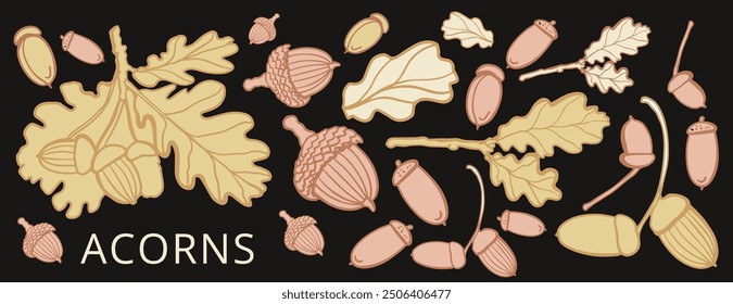 Isolated vector set of acorn, oak leaf. Acorn branch on the dark background. Autimn collection. Braun. 