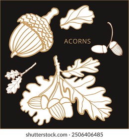 Isolated vector set of acorn, oak leaf. Acorn branch on the dark background. Autimn collection. Braun. 