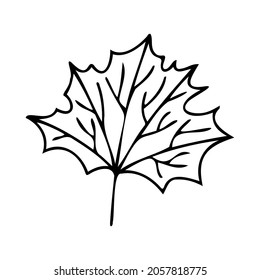 Conjunto vectorial aislado de hojas de otoño ramo siluetas alineadas en blanco y negro. El diseño es perfecto para el diseño de la ropa, la decoración infantil, las pegatinas, la papelería y los tatuajes.