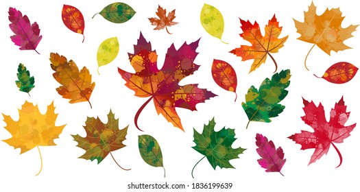 Isolated Vector Set of Autumn/Fall Colorful, Watercolor, Hand drawn leaves. Useful for Greeting Card, Banner, Flyer, Textile, Surface or Packaging Design.