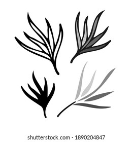 Isolated vector set of black and white grass blades leaves lined and silhouette. The design is perfectly suitable for clothes design, children decoration, stickers, stationary, tattoos.