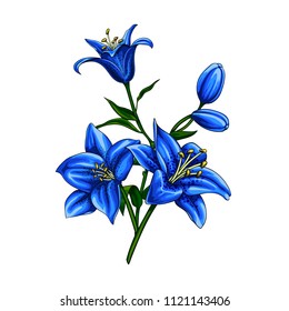 Isolated vector set of blue spotted lilium flowers with buds and leaves. Elegant bouquet composition.