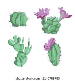 Conjunto vectorial aislado de la planta de Cactus sobre fondo blanco al estilo Flat . Logotipo para textiles, patrones, tarjetas, empaque, impresión para cuidado de la piel, belleza, jardinería, hierba médica, orgánica.