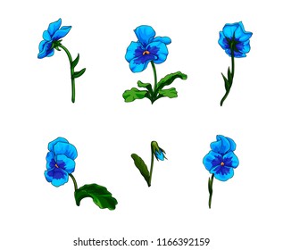 Isolated vector set of colorful pansy flowers.Hand drawn viola tricolor flowers from different point of view.