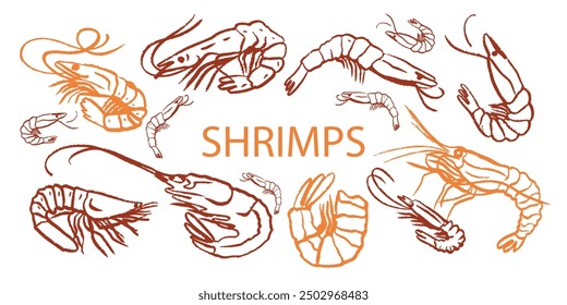 Isolierte Vektorgrafik von handgezeichneten Meeresfrüchten. Garnelen, Garnelen, Lachs, Forelle, Austern, Miesmuscheln, Tintenfisch, Krabbe, Zitrone, Tintenfisch, Rosmarin, Seeigel. С. Tafel.