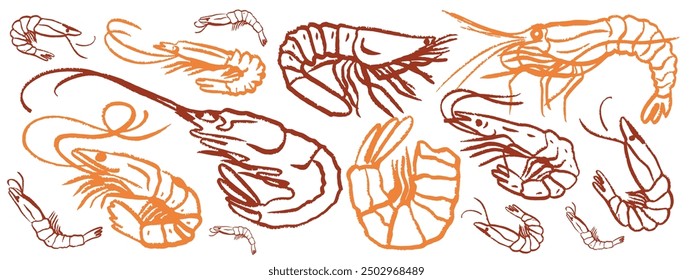 Isolated vector set of hand drawn seafood. Shrimps, langoustines, prawns, salmon, trout, oysters, mussels, squid, crab, lemon, octopus, rosemary, sea urchin. Сhalk drawing. Chalkboard.