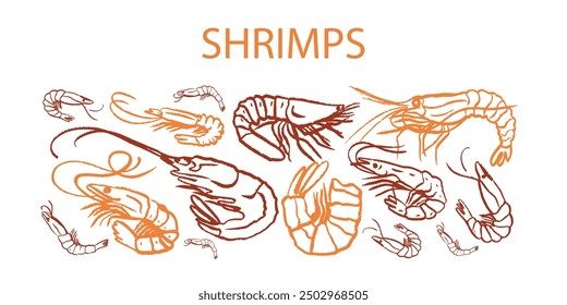 Isolated vector set of hand drawn seafood. Shrimps, langoustines, prawns, salmon, trout, oysters, mussels, squid, crab, lemon, octopus, rosemary, sea urchin. Сhalk drawing. Chalkboard.