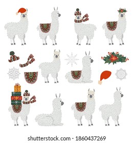 Isolated Vector set of Llamas