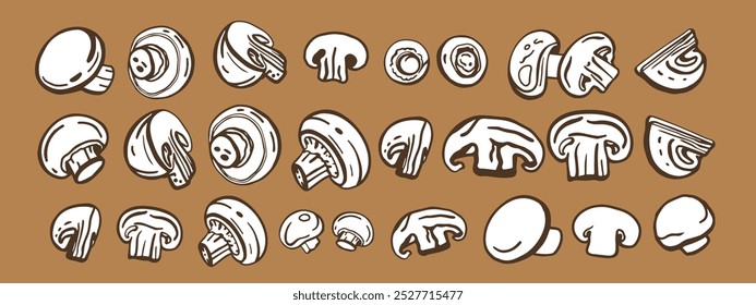 Vetor isolado de cogumelos. Champignons definido. Estilo desenhado à mão.