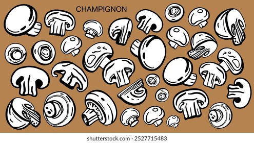 Vetor isolado de cogumelos. Champignons definido. Estilo desenhado à mão.