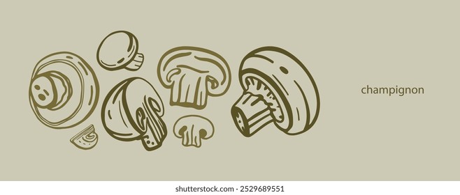	
Vetor isolado de cogumelos. Champignons definido. Estilo desenhado à mão.