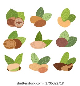 Isolated vector set of nuts on white background: peanuts, walnut, cashews, walnuts, hazelnuts, pistachio, almonds. Hand-drawn cartoon illustration. 