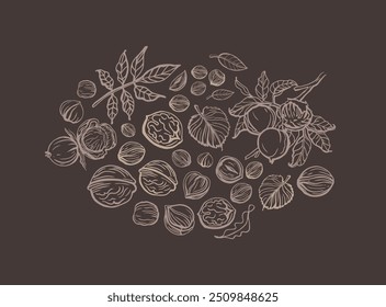 Isolated vector set of nuts on dark background.Nuts and seeds collection.Hand drawn objects.Peanuts, cashews, walnuts, hazelnuts,cocoa, almonds, chestnut, pine nut, nutmeg, peanut, macadamia, coconut.