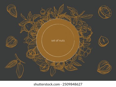 Isolated vector set of nuts on dark background.Nuts and seeds collection.Hand drawn objects.Peanuts, cashews, walnuts, hazelnuts,cocoa, almonds, chestnut, pine nut, nutmeg, peanut, macadamia, coconut.