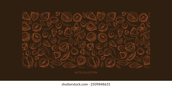 Conjunto de Vector aislado de nueces sobre fondo oscuro. Nueces y semillas colección. Objetos dibujados a mano. Cacahuetes, anacardos, nueces, avellanas, cacao, almendras, castaño, piñón, nuez moscada, maní, macadamia, coco.