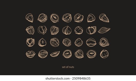 Isolated vector set of nuts on dark background.Nuts and seeds collection.Hand drawn objects.Peanuts, cashews, walnuts, hazelnuts,cocoa, almonds, chestnut, pine nut, nutmeg, peanut, macadamia, coconut.