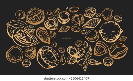 Isolated vector set of nuts. Seeds collection. Hand drawn. Dark background. Peanuts, cashews, walnuts, hazelnuts, cocoa, almonds, chestnut, pine nut, nutmeg, peanut, macadamia, coconut, pistachios.