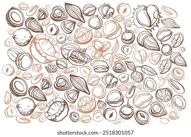 Isolated vector set of nuts. Nuts and seeds collection. Vector hand drawn objects. Peanuts, cashews, walnuts, hazelnuts, cocoa, almonds, chestnut, pine nut, nutmeg, peanut, macadamia, coconut.