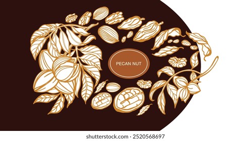Isolated vector set of pecan. Nuts. Hand drawn plant, branch, nuts, leaf on a white background. Brown and warm colors.