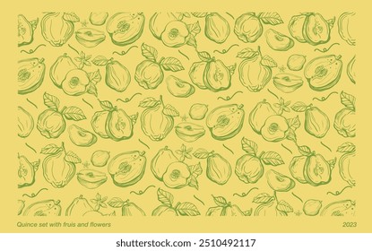 Isolated vector set of quince, fruit, twigs with leaves on a white and yellow background. Lemon color. Vintage vector template design. Hand drawn set of fruits illustrations. Exotic fruits.