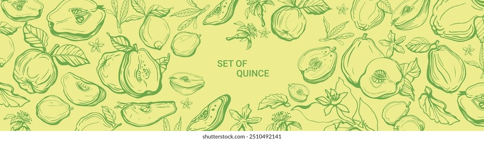 Isolated vector set of quince, fruit, twigs with leaves on a white and yellow background. Lemon color. Vintage vector template design. Hand drawn set of fruits illustrations. Exotic fruits.