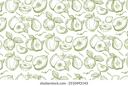 Isolated vector set of quince, fruit, twigs with leaves on a white and yellow background. Lemon color. Vintage vector template design. Hand drawn set of fruits illustrations. Exotic fruits.