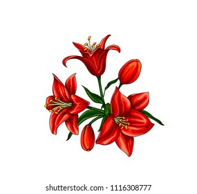 Isolated vector set of red spotted lilium flowers with buds and leaves. Elegant bouquet composition.