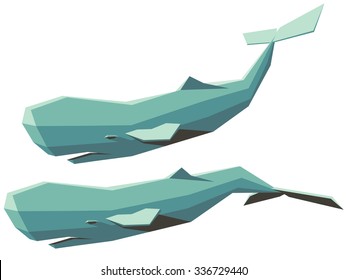 isolated vector set of a sperm whale