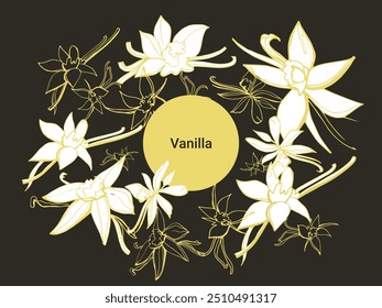 Vetor isolado de baunilha. Padrão. Varas de baunilha, flor de baunilha e vagens. Aroma, comida. Mão desenhada. Vetor mão desenhada ilustração de orquídea Flor e vagens em fundo branco isolado.